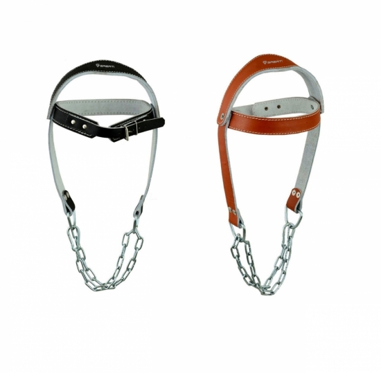 Head Harness